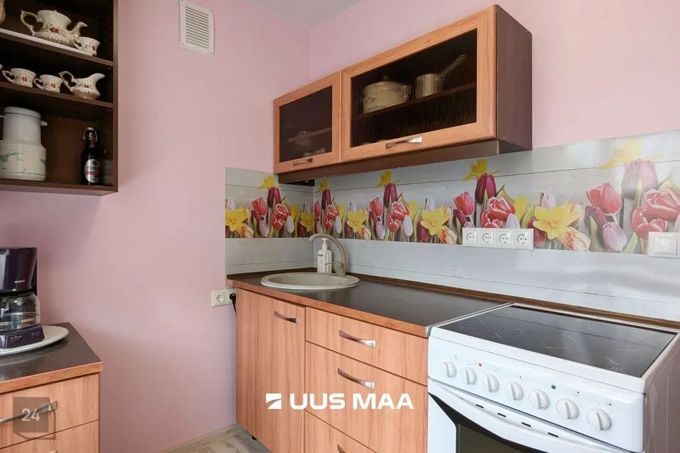 1-комнатная Квартира в Põhja-Pärnumaa vald, Tootsi alev - фото 4