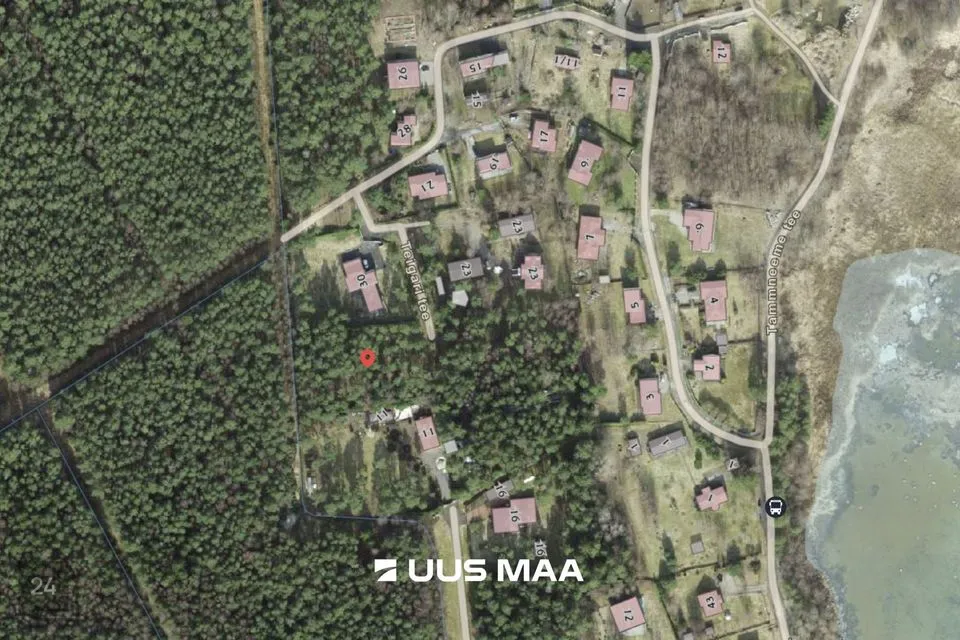 Земля жилой застройки, 3516 m² участок в Viimsi vald, Tammneeme küla - фото 3