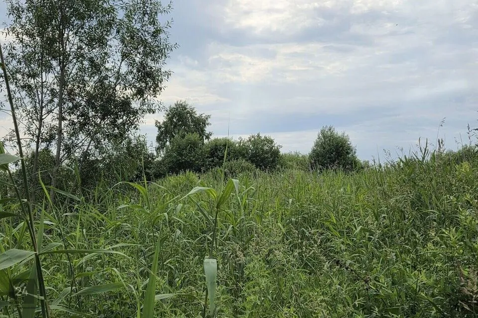 Maatulundusmaa, 2540 m² Maa - Peipsiääre vald, Kasepää alevik - foto 2