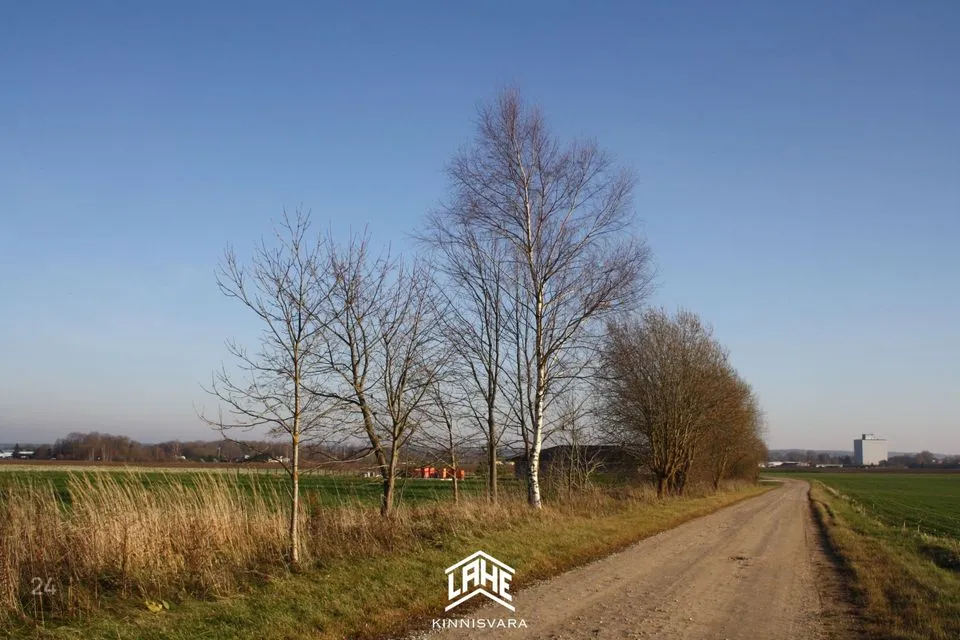 Maatulundusmaa, 24100 m² Maa  -  Kambja vald, Reola küla - foto 3