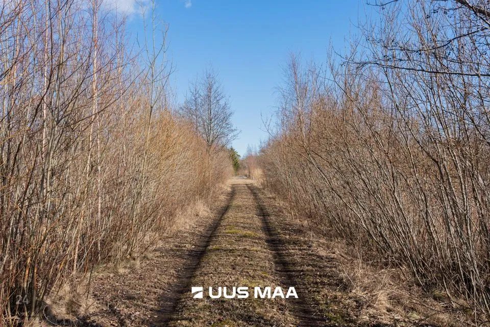 Elamumaa, 3742 m² Maa  -  Pärnu linn, Peerni küla - foto 3