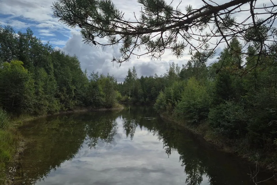 Maatulundusmaa, 142219 m² Maa - Jõgeva vald, Jõune küla