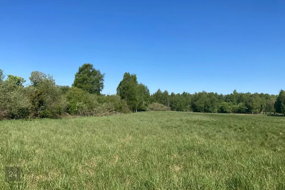 Maatulundusmaa, 10695 m² Maa - Saaremaa vald, Virita küla