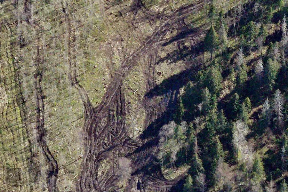 Elamumaa, 20000 m² Maa  -  Kiili vald, Paekna küla - foto 3