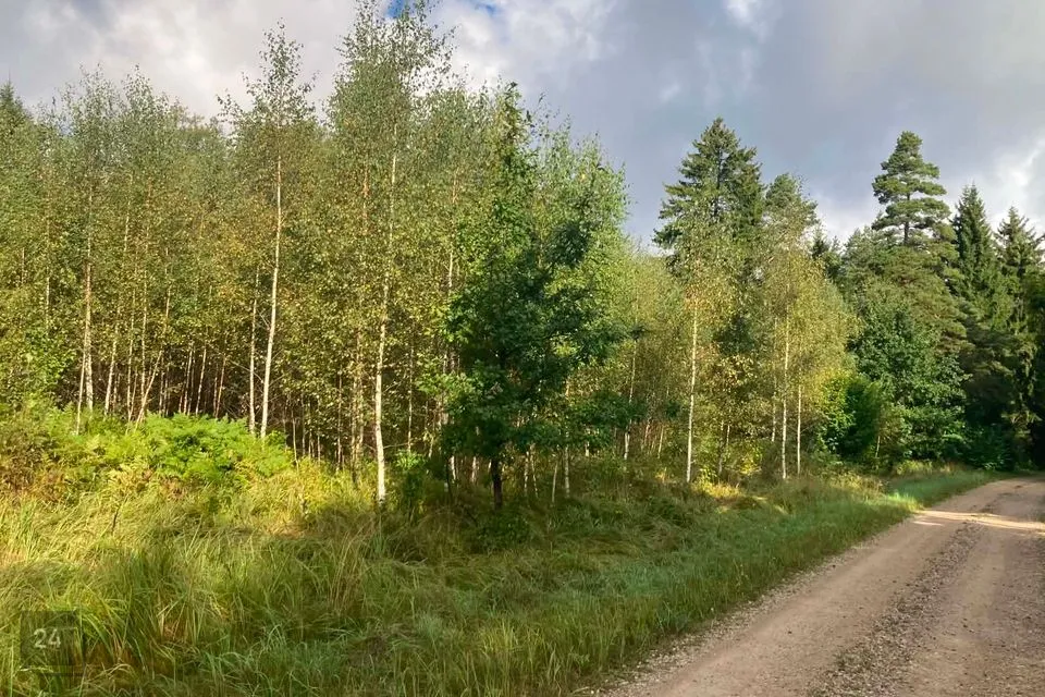 Maatulundusmaa, 29924 m² участок в Saaremaa vald, Pöitse küla - фото 4