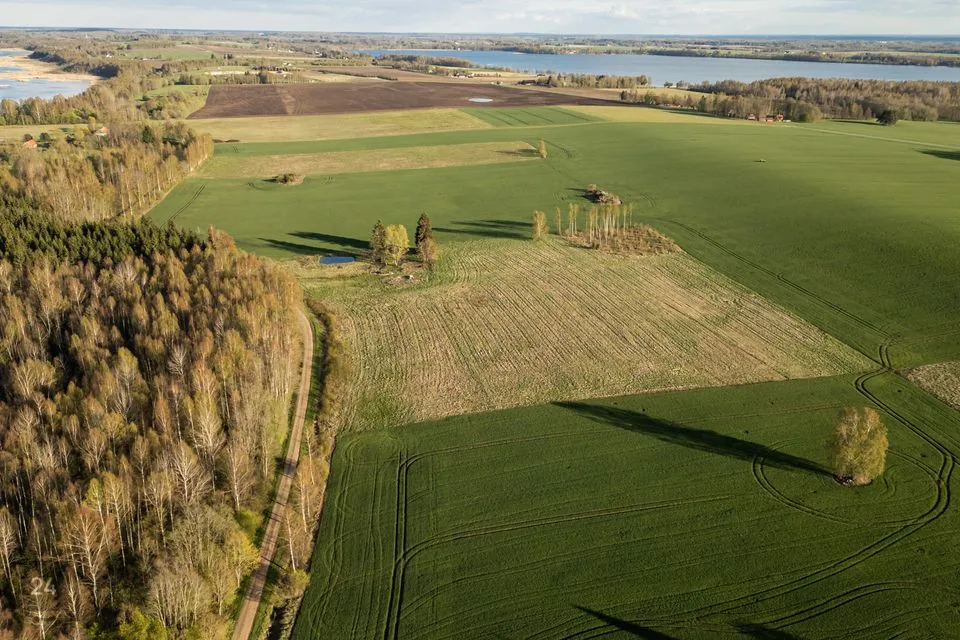 Maatulundusmaa, 44830 m² Maa - Tartu vald, Valgma küla - foto 4
