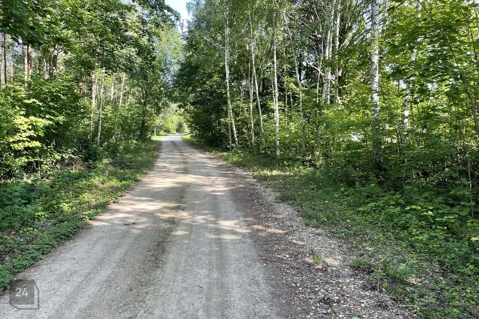 Maatulundusmaa, 10934 m² Maa  -  Saaremaa vald, Väike-Võhma küla - foto 3