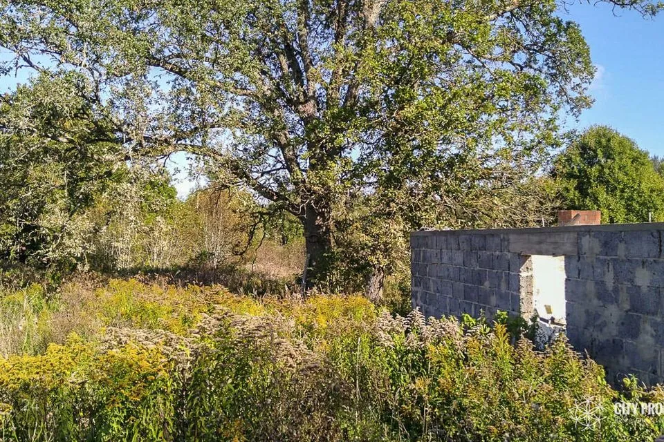 Земля жилой застройки, 3203 m² участок в Valga vald, Valga linn - фото 3