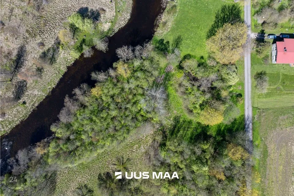 Maatulundusmaa, 22653 m² Maa  -  Türi vald, Türi-Alliku küla - foto 3