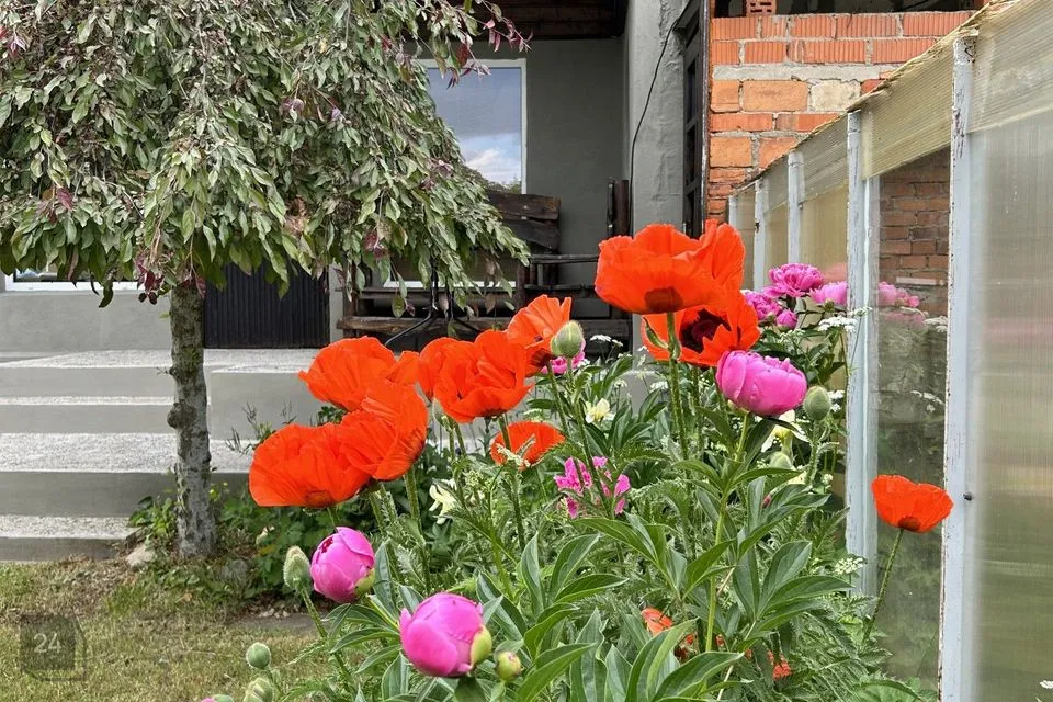 5-room Summer home in Toila vald, Martsa küla - photo 5