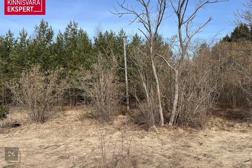 Maatulundusmaa, 31700 m² Maa  -  Lääne-Harju vald, Valkse küla - foto 5