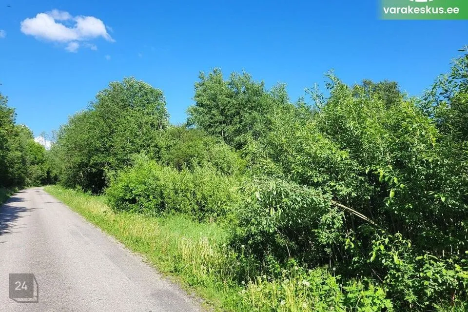 Sotsiaalmaa - ühiskondlike ehitiste maa, 7461 m² Maa - Haapsalu linn, Üsse küla - foto 3