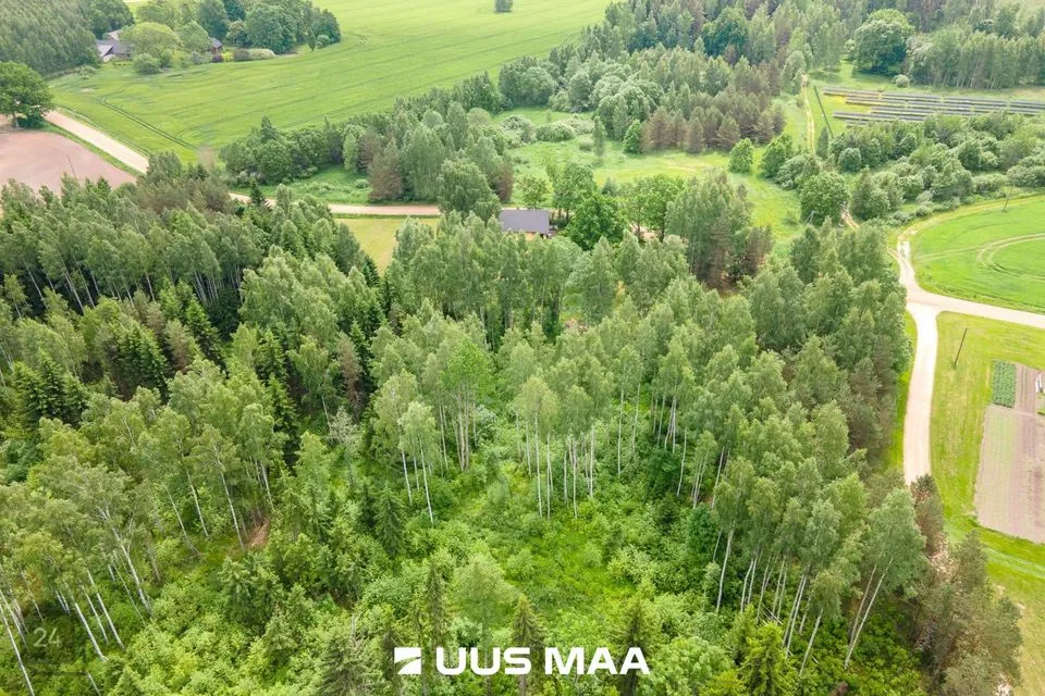 Maatulundusmaa, 36938 m² участок в Põlva vald, Mõtsküla - фото 2