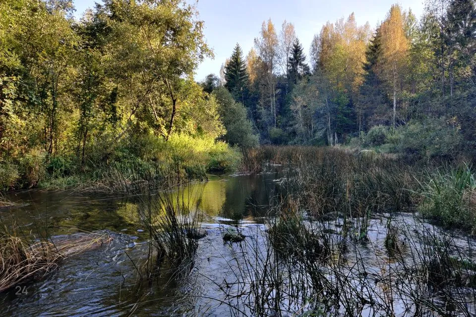 Maatulundusmaa, 9598 m² участок в Saarde vald, Kanaküla