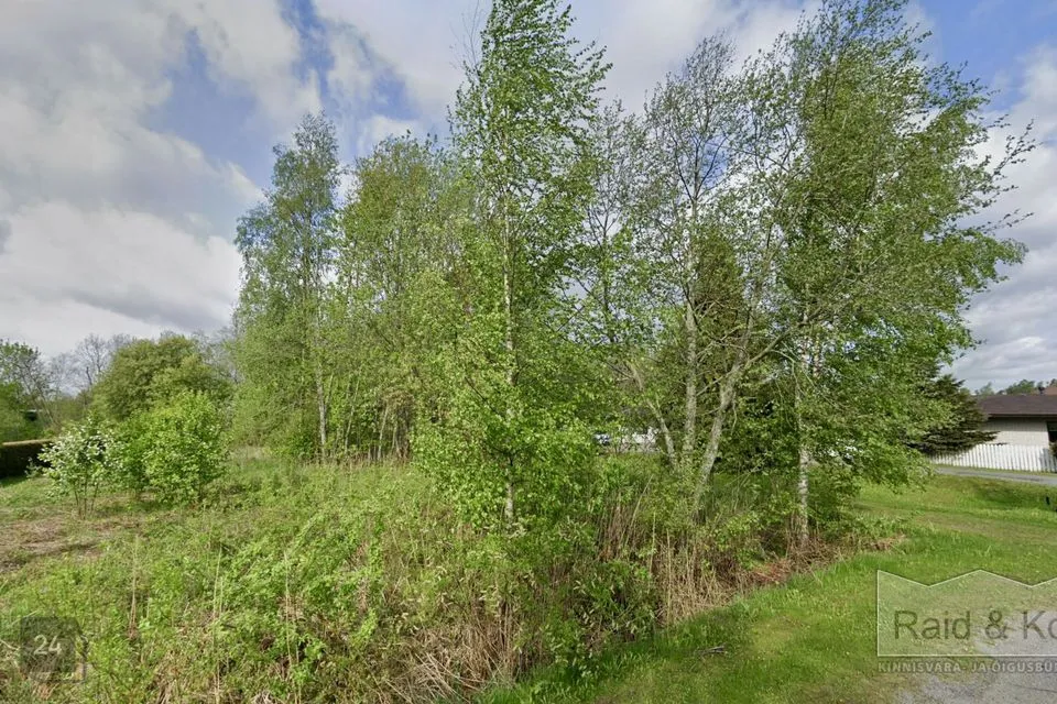 Elamumaa, 2197 m² Maa - Tori vald, Nurme küla - foto 2