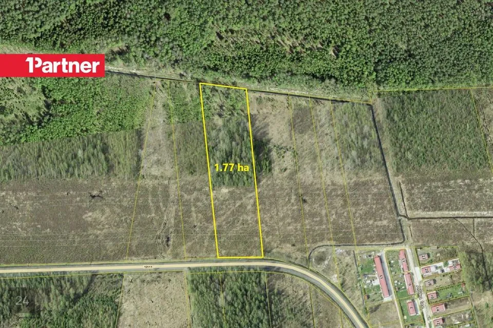 Maatulundusmaa, 17739 m² участок в Alutaguse vald, Remniku küla