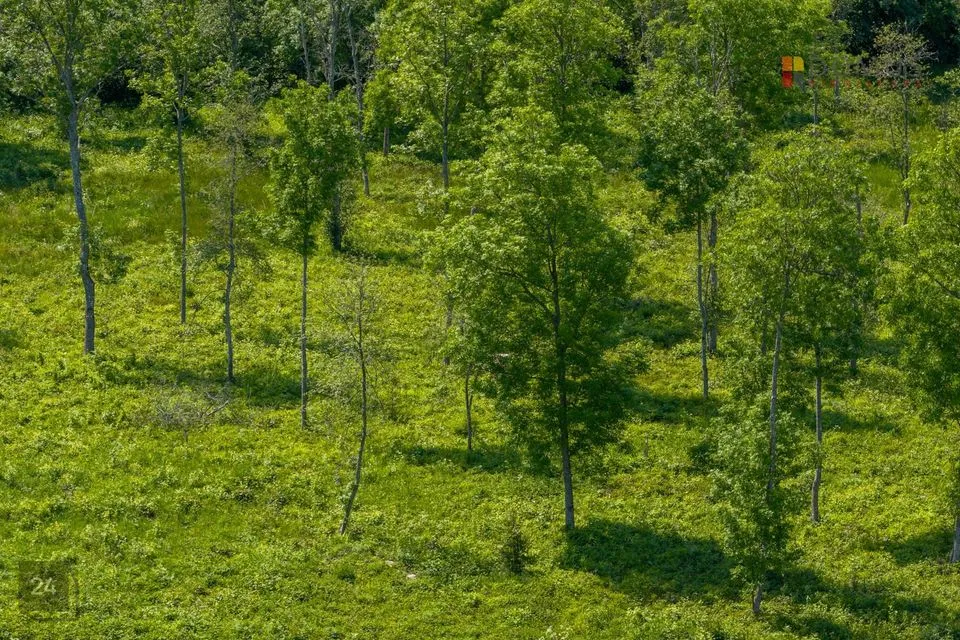 Maatulundusmaa, 30343 m² Maa - Haapsalu linn, Metsaküla - foto 5