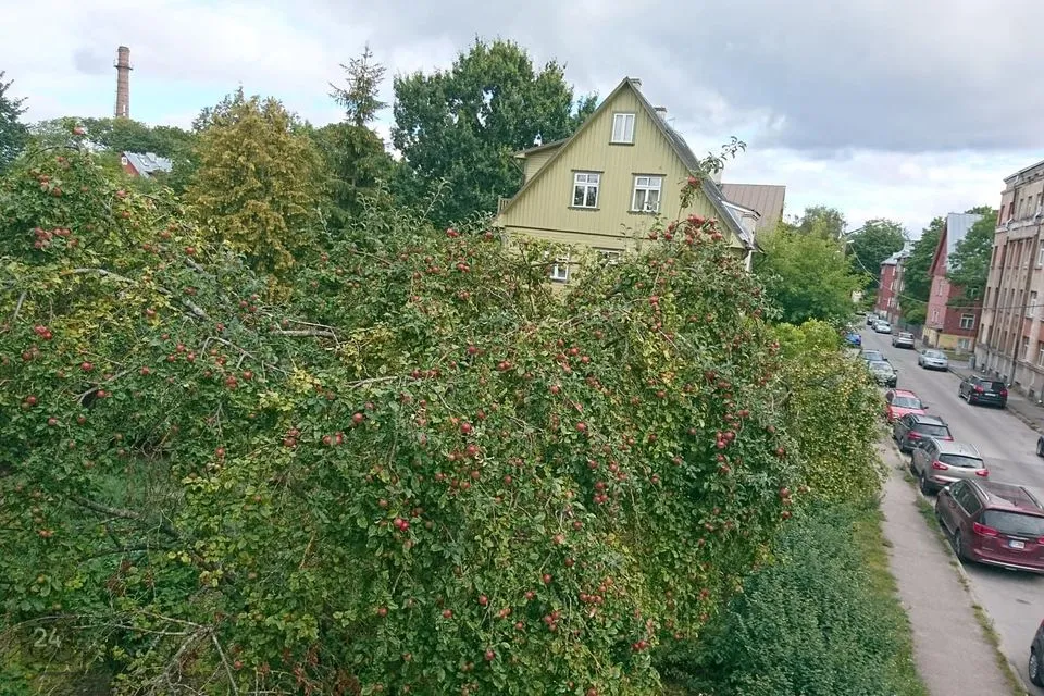2-toaline Korter  -  Tallinn, Põhja-Tallinna linnaosa - foto 4