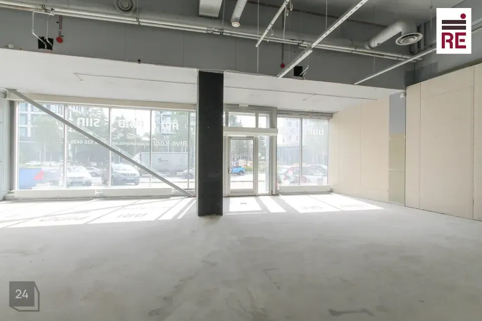 Mitme sihtotstarbega, 166 m² Äripind - Tallinn, Kristiine linnaosa - foto 3