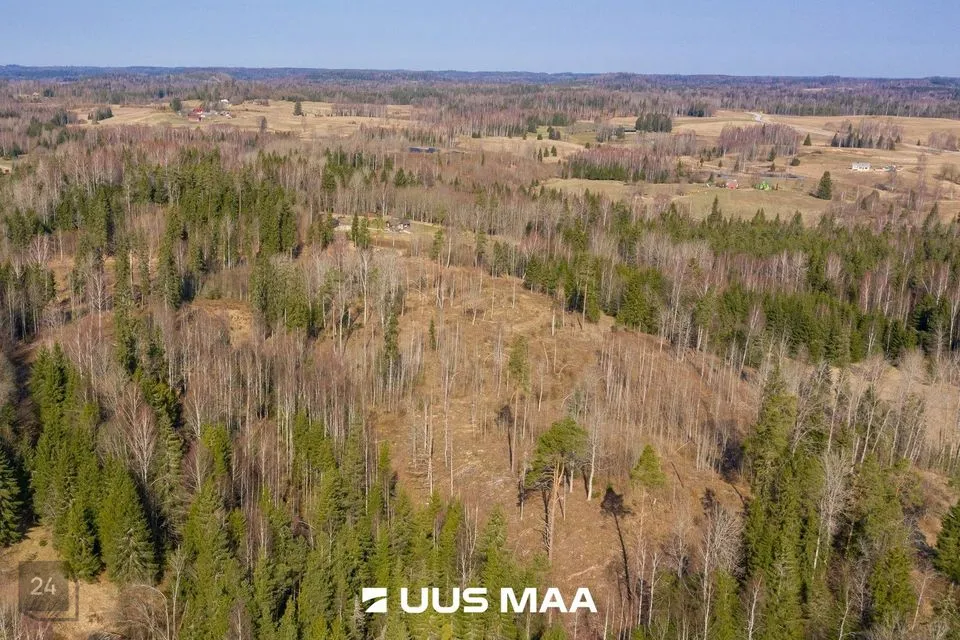 Maatulundusmaa, 26032 m² Maa - Otepää vald, Kaurutootsi küla - foto 4