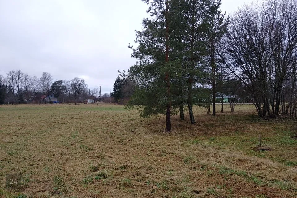 Tootmismaa, 12660 m² Maa - Järva vald, Ambla alevik - foto 2