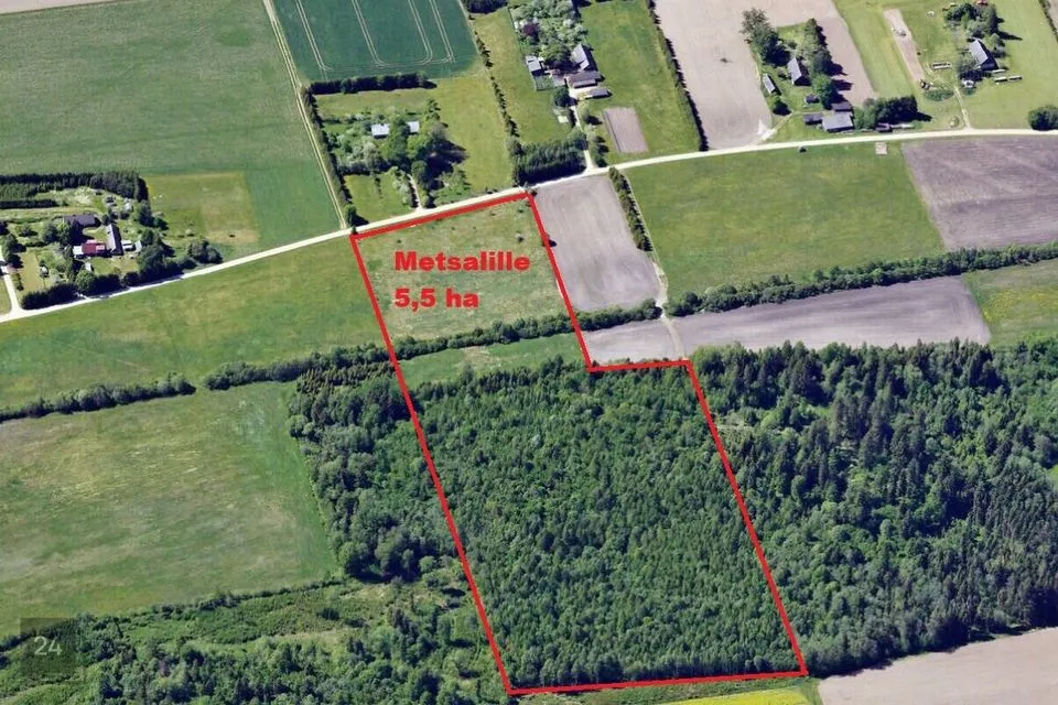 Maatulundusmaa, 54954 m² Maa  -  Põltsamaa vald, Mällikvere küla