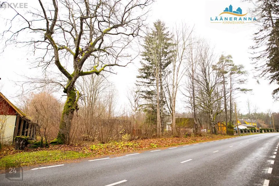 Elamumaa, 1633 m² Maa - Saaremaa vald, Leisi alevik - foto 3