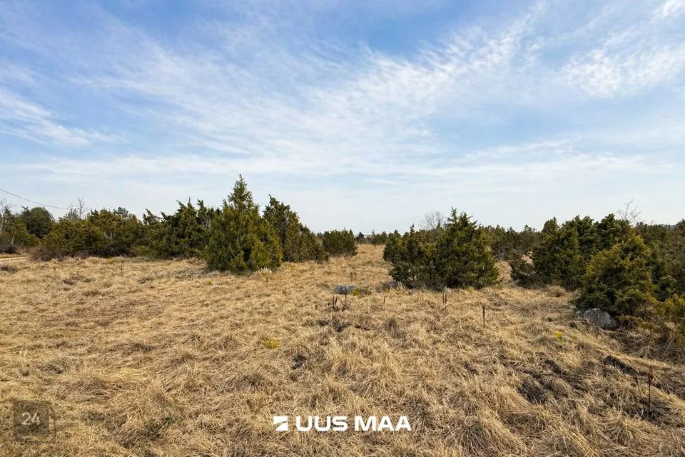 Maatulundusmaa, 23539 m² участок в Lääneranna vald, Saulepi küla - фото 4