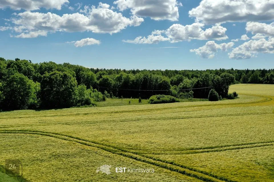 Maatulundusmaa, 12000 m² участок в Saaremaa vald, Valjala-Nurme küla - фото 5