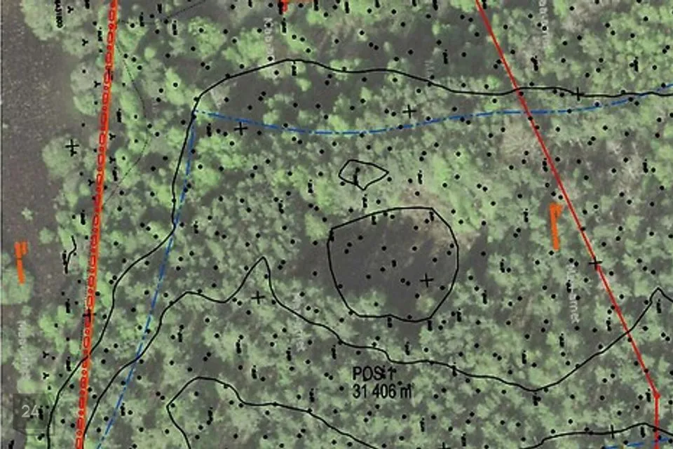 Maatulundusmaa, 31511 m² Maa  -  Setomaa vald, Väike-Rõsna küla - foto 4