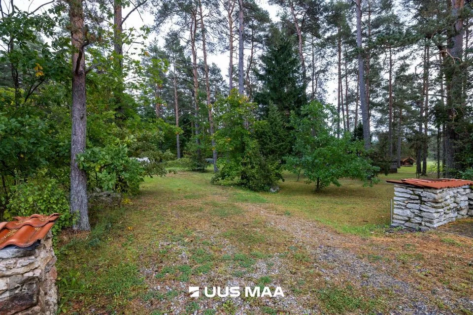 Elamumaa, 5332 m² Maa  -  Saue vald, Aila küla - foto 4