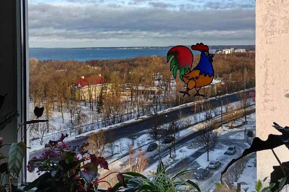 2-toaline Korter  -  Tallinn, Lasnamäe linnaosa - foto 2