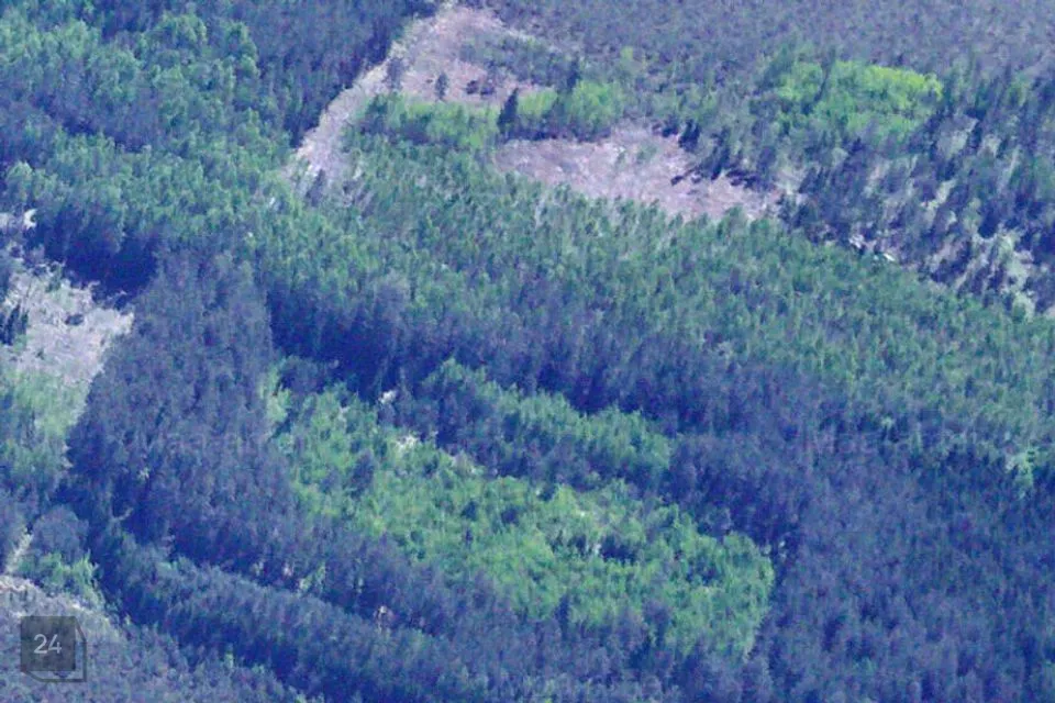 Maatulundusmaa, 94885 m² Maa  -  Setomaa vald, Nedsaja küla - foto 3