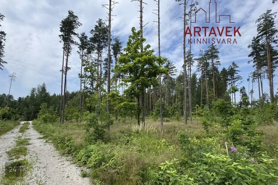 Земля жилой застройки, 3544 m² участок в Alutaguse vald, Katase küla - фото 2