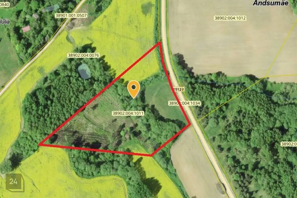 Maatulundusmaa, 21852 m² Maa  -  Võru vald, Andsumäe küla - foto 2