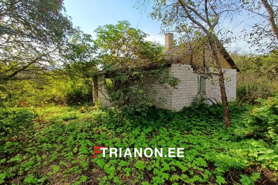 Elamumaa, 2951 m² Maa  -  Narva-Jõesuu linn, Laagna küla - foto 2