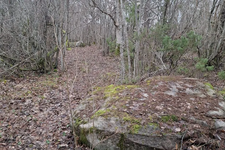 Maatulundusmaa, 7399 m² Maa - Saaremaa vald, Muratsi küla