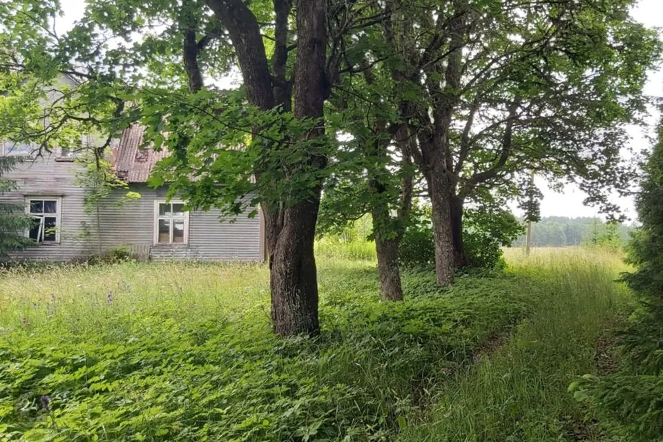 4-room house in Alutaguse vald, Kellassaare küla - photo 5