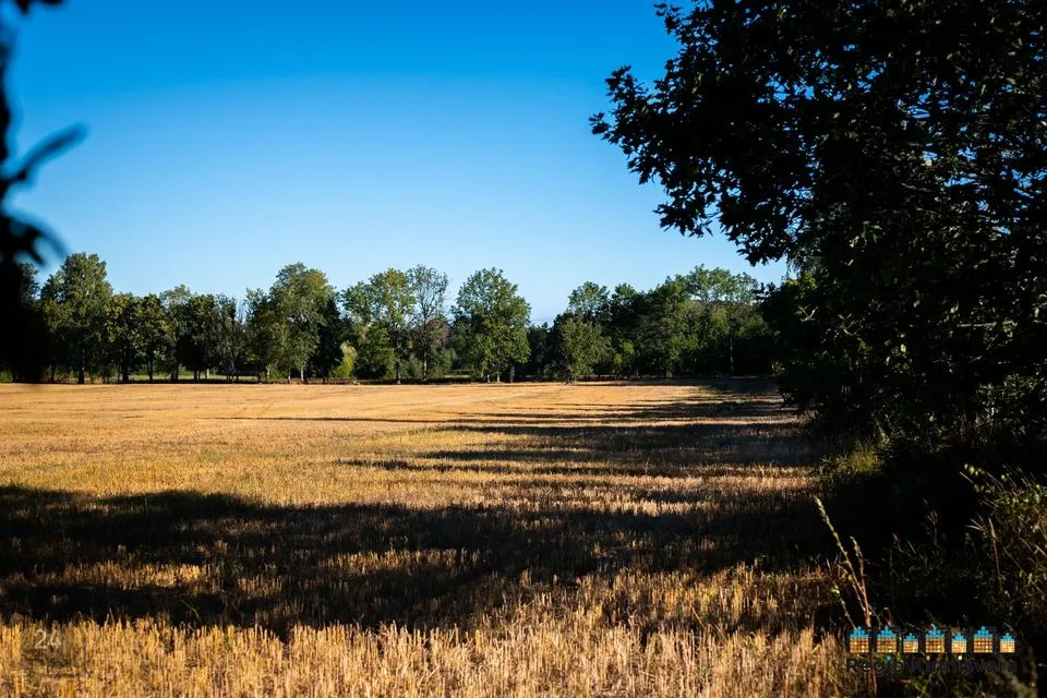 Elamumaa, 49900 m² Maa - Saue vald, Muusika küla