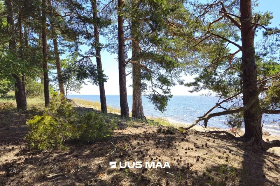 Многоцелевое, 3853 m² Бизнес-площадь в Alutaguse vald, Karjamaa küla - фото 4