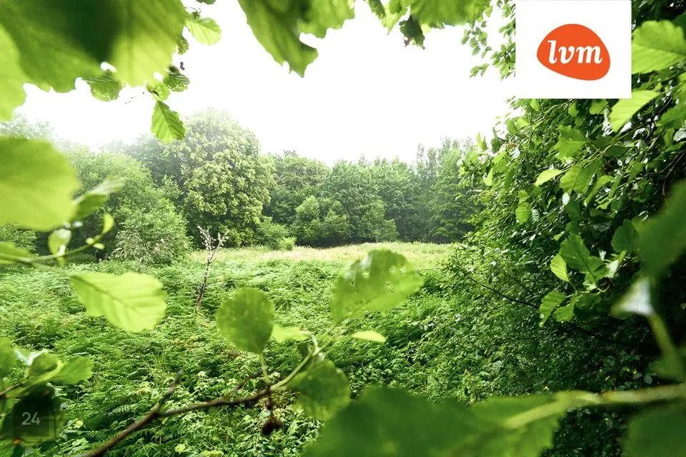 Maatulundusmaa, 66020 m² Maa  -  Saaremaa vald, Mässa küla