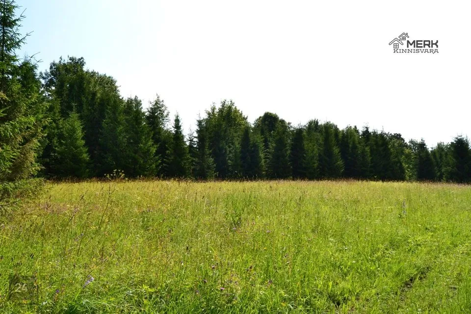 Maatulundusmaa, 25051 m² Maa - Kose vald, Lutsu küla - foto 3