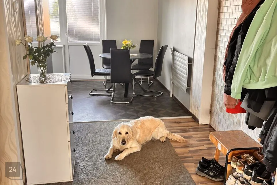 5-toaline Korter  -  Vinni vald, Laekvere alevik - foto 4