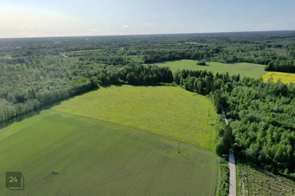 Maatulundusmaa, 143500 m² Maa  -  Kehtna vald, Pae küla - foto 3