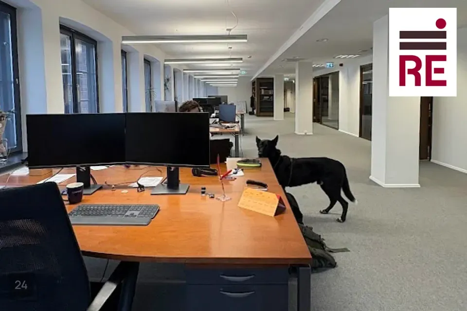 Büroo, 227 m² Äripind  -  Tallinn, Kesklinna linnaosa - foto 5