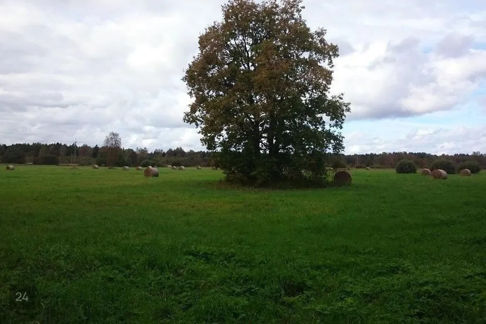 Elamumaa, 83614 m² Maa - Harku vald, Türisalu küla