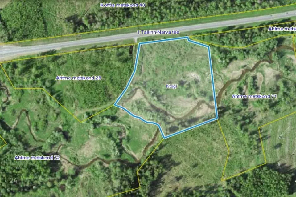 Maatulundusmaa, 30000 m² Maa  -  Jõhvi vald, Pühajõe küla