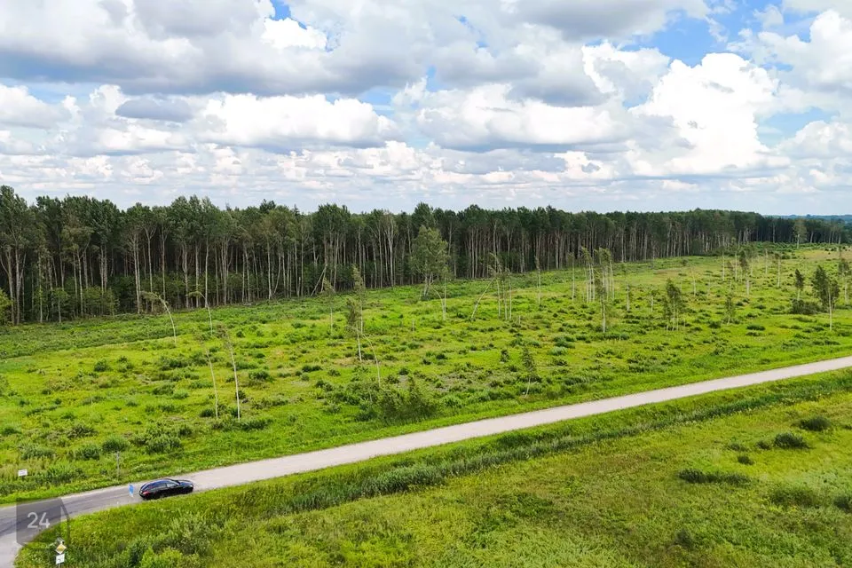 Maatulundusmaa, 21102 m² Maa - Tori vald, Eametsa küla - foto 2