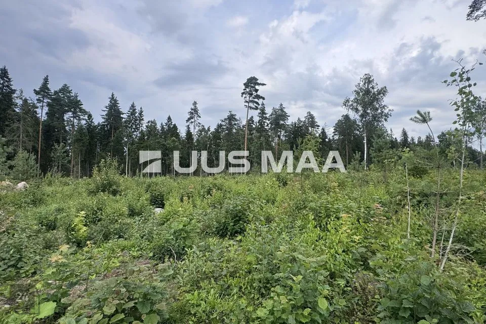 Cultivated land, 12706 m² land in Kohila vald, Mälivere küla