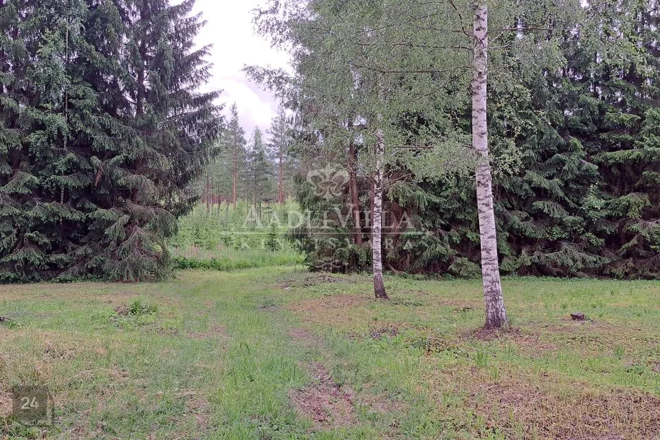 Elamumaa, 7389 m² Maa  -  Võru vald, Peraküla - foto 4